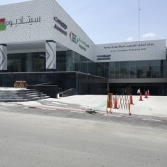 مگا استون 116